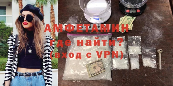 сатива Алзамай
