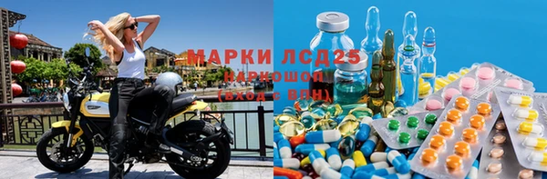 apvp Алексин