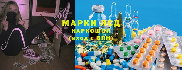 сатива Алзамай