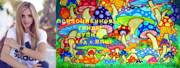 гашик Инсар