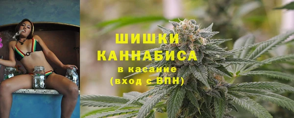 сатива Алзамай