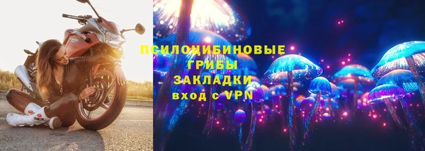 сатива Алзамай