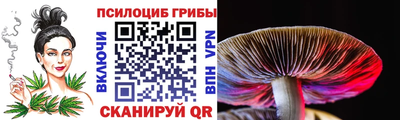 Псилоцибиновые грибы прущие грибы  Новошахтинск 