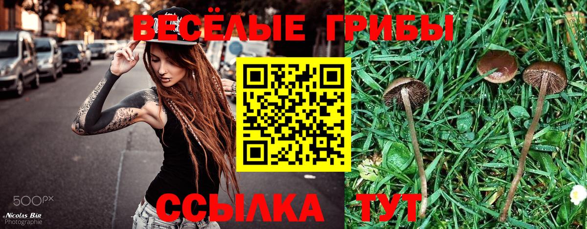 Новошахтинск  Псилоцибиновые грибы прущие грибы  Вход с VPN 