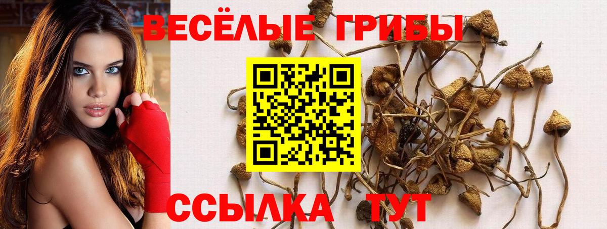 Галлюциногенные грибы прущие грибы Новошахтинск